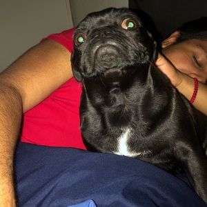 Meet your Posher, Alan